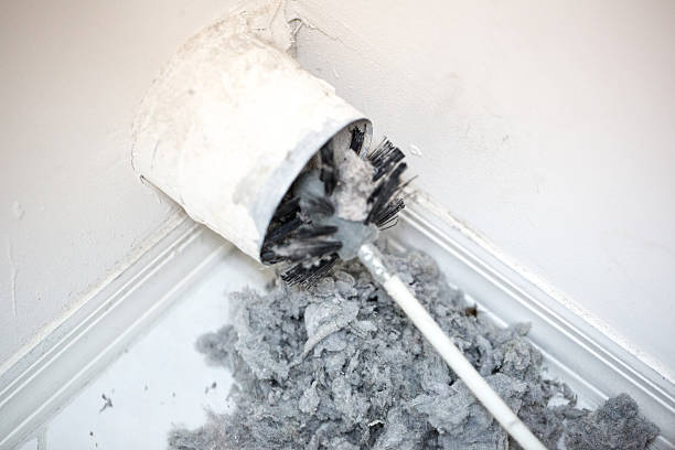 Best Ventilation Cleaning Services  in Bellflower, CA